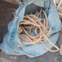 بیل و کلنگ|ابزارآلات|شیراز, شهرک والفجر|دیوار