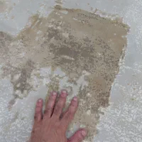 یک تخته فرش ترک ۶ متری و ۱ونیم متری در حد نوی نو|فرش|بندر انزلی, ساحل قو|دیوار