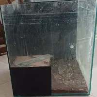 دو عدد اکواریوم کاملا سالم|ماهی|ری, ظهیرآباد|دیوار