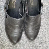 کفش|کیف، کفش، کمربند|همدان, |دیوار