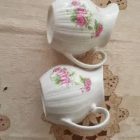 فروش گلسرخی|ظروف سرو و پذیرایی|نطنز, |دیوار