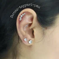 پیرسینگ گوش ،بینی،لب،میکرودرمال،چالگونه|خدمات آرایشگری و زیبایی|قم, شهرک فاطمیه|دیوار