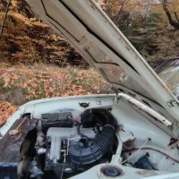 پیکان بیرنگ تمام فابریک