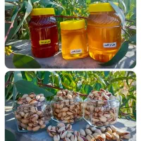 پسته درجه یک مخصوص شب یلدا