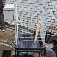 قفس پرنده