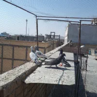 سرور‌پلاکی|پرنده|مرودشت, سهل‌آباد|دیوار