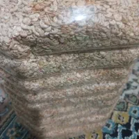 فروش گاماروس غذای ماهی|ماهی|چابکسر, |دیوار