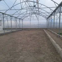 گلخانه 5800متر چهاردیواری شده|فروش دفتر صنعتی، کشاورزی، تجاری|رباط‌کریم, پیغمبر|دیوار