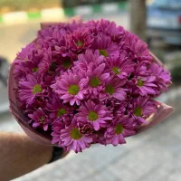 پایه گل سبد گل دسته گل ماشین عروس|گل و گیاه طبیعی|گلبهار, شهر جدید گلبهار|دیوار