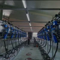 پیمانکاری تاسیسات گاودراری|خدمات پیشه و مهارت|ابهر, |دیوار