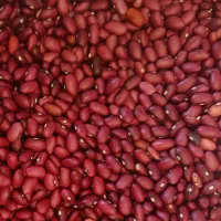 انواع حبوبات خوش قیمت