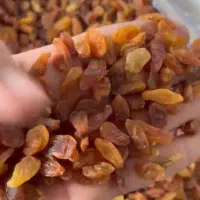فروش انواع محصولات کشاورزی|خوردنی و آشامیدنی|اهواز, کیانپارس |دیوار