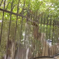 اپارتمان ۷۲ متری بازسازی شده|فروش آپارتمان|تهران, حشمتیه|دیوار