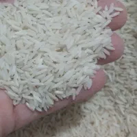 برنج دم سیاه دو بوجار خوش پخت و خوش عطر|خوردنی و آشامیدنی|گنبد کاووس, |دیوار