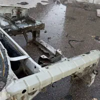 اسکلت زانتیا نقره ای