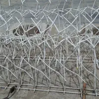 شاخ گوزنی (الوحفاظ)