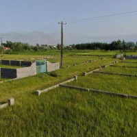 350متر زمین مسکونی شهرکی باسندتک برگ و امتیازات|فروش زمین و ملک کلنگی|رشت, شهرک قدس|دیوار