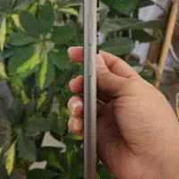 S23 Fe سامسونگ Samsung|موبایل|قم, پردیسان|دیوار