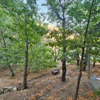 فروش زمین و باغ گیلاس