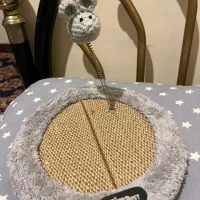 جای خواب و اسکرچر