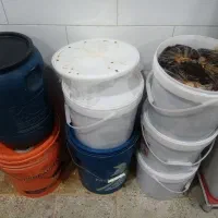 خرمای کبکاب بسته بندی شده شیره زده درجه یک|خوردنی و آشامیدنی|آبپخش, |دیوار