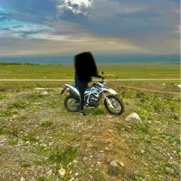 تریل تیفورکویر