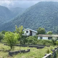 255-متر-زمین-مازوبن-نزدیک-هتل-شمالی-جنوبی