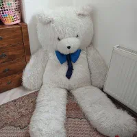 خرس بزرگ دومتری نو