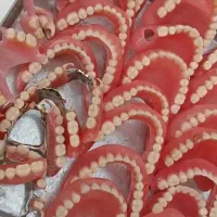 دندان / دندانسازی بیات /مجوزدار با 30سال سابقه