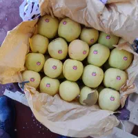 سیب سفید درجه یک|خوردنی و آشامیدنی|سیلوانه, |دیوار