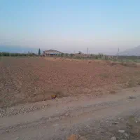 زمین-باغ-زراعی-طالب-گولی