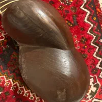 تار قدیمی|سازهای سنتی|تهران, پاسداران|دیوار