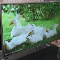 ال ای دی۵۰اینچ ال جی سه بعدی اصل کره درحدنو|تلویزیون و پروژکتور|مشهد, وکیل‌آباد|دیوار