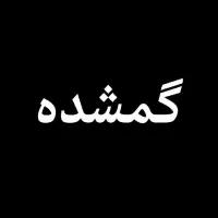 گمشده|اشیا|همدان, |دیوار
