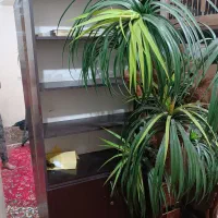 بهارستان|کتابخانه، شلف، قفسه‌های دیواری|اهواز, بهارستان|دیوار