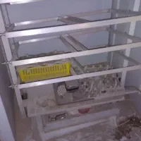 دستگاه جوجه کشی|لوازم جانبی حیوانات|تربت‌حیدریه, حاجی یار‎|دیوار