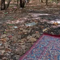 فرش روفرشی گمشده