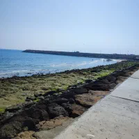 اجاره-یک-خوابه-رو-به-دریا