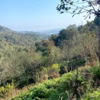 زمین مسکونی1541متری منطقه اطاقور