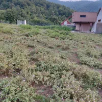 زمین مسکونی توی بافت روستا،واقع درروستای بالاچلی|فروش زمین و ملک کلنگی|فاضل آباد, |دیوار