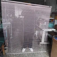 پرده سایه روشن سالم در حد نو ۶ عدد|پرده، رانر، رومیزی|همدان, |دیوار