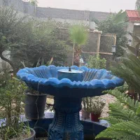 آبنما