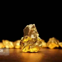 انگشتر طلا پیدا کردیم