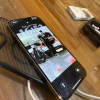 ۱۳ پرومکس گلد