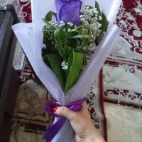 تدریس علوم مطالعات فارسی