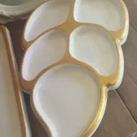 ظروف پذیرایی