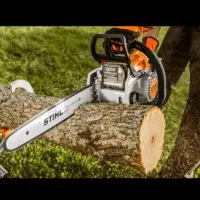 خرید چوب راجی چنار میوه سقفی 15تا 25