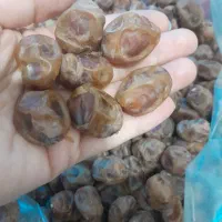 فرصتو دریاب