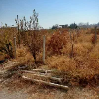 ویلا باغ تفریحی|فروش خانه و ویلا|نوشین شهر, |دیوار