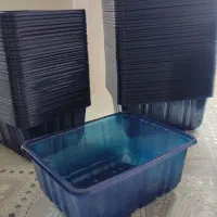 ظروف پلاستیکی یکبارمصرف